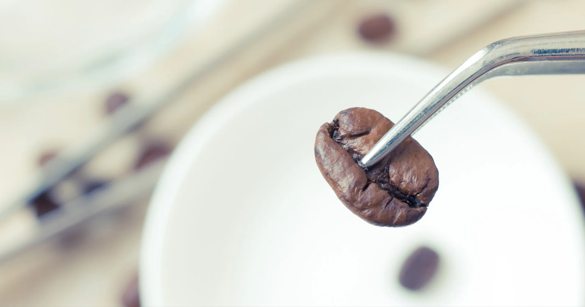 Inspección de granos de café